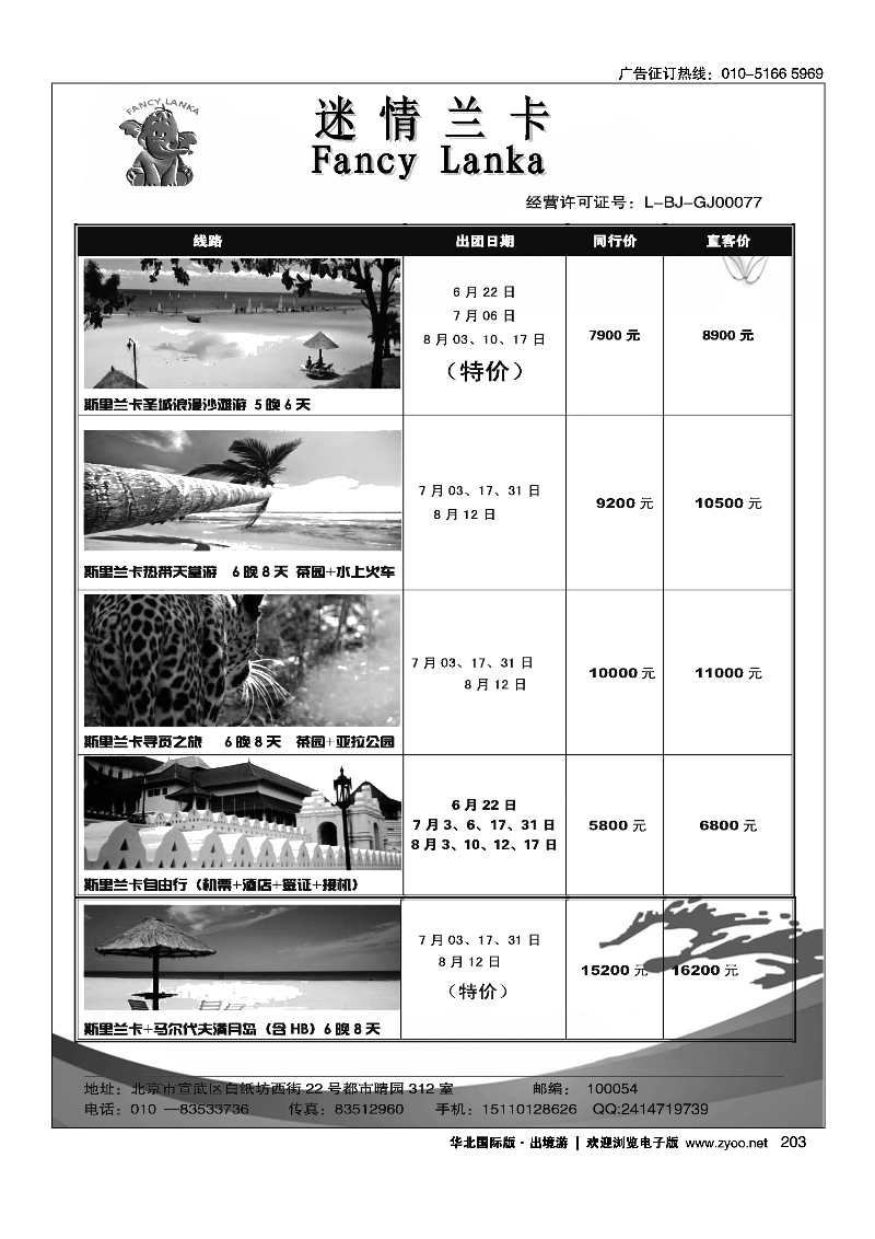 203迷情兰卡