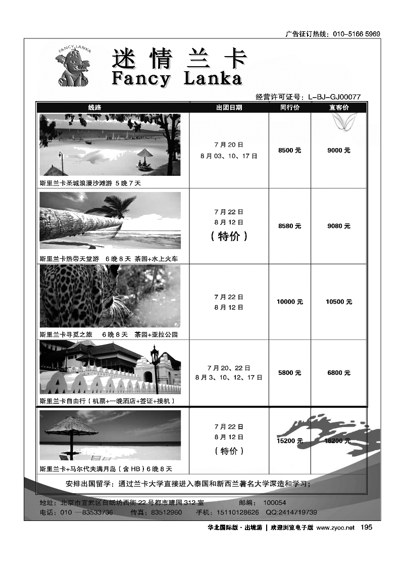 195迷情兰卡
