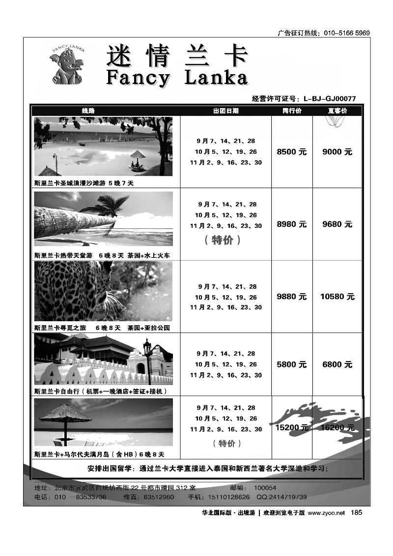 185迷情兰卡