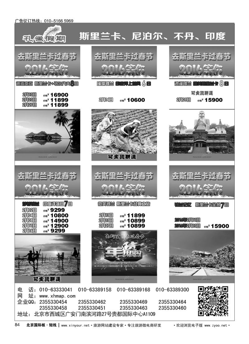 84孔雀假期-南亚