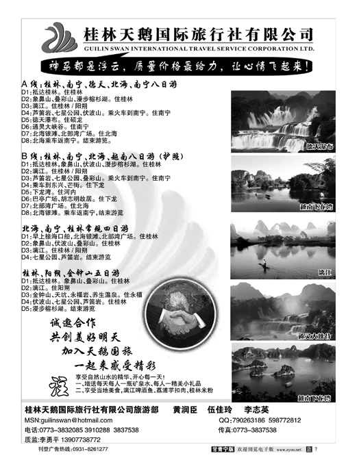 桂林天鹅