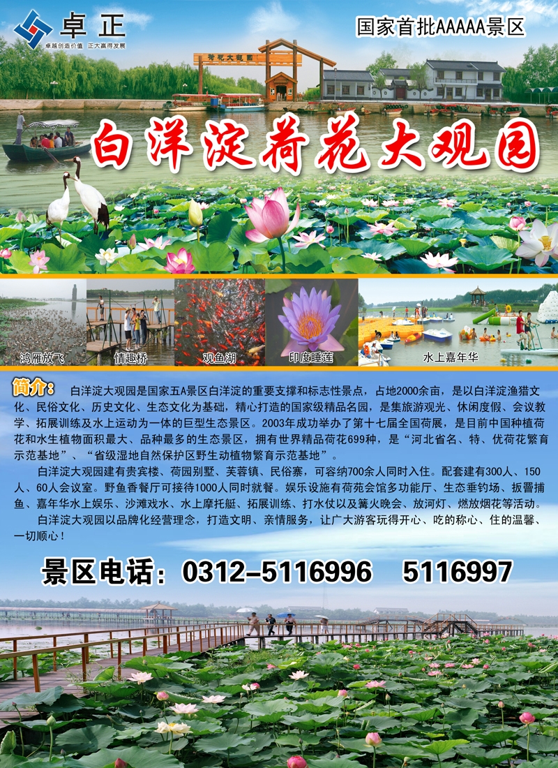 红版32白洋淀王牌景区荷花大观园（山西、天津、河北、内蒙、河南）