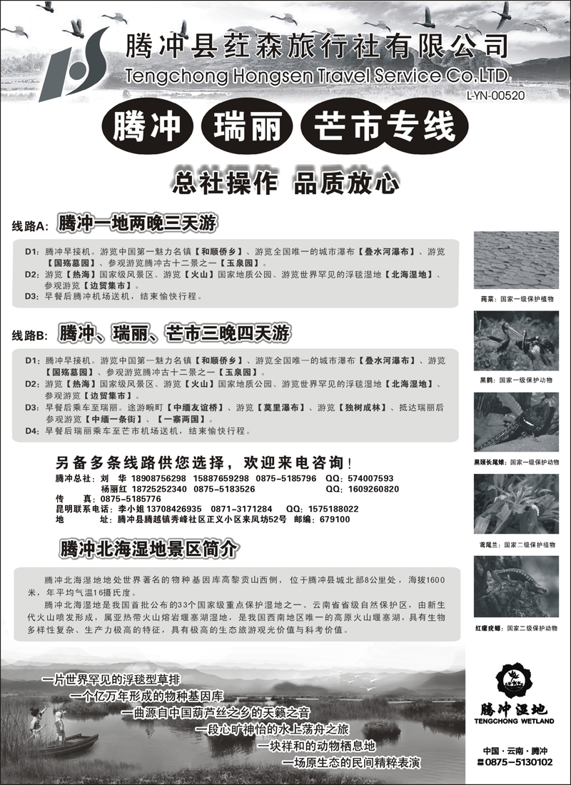红版28-云南腾冲荭森旅行社有限公司（山西、青岛、东北、河北、天津、北京、无锡、浙江、重庆、上海、内蒙）