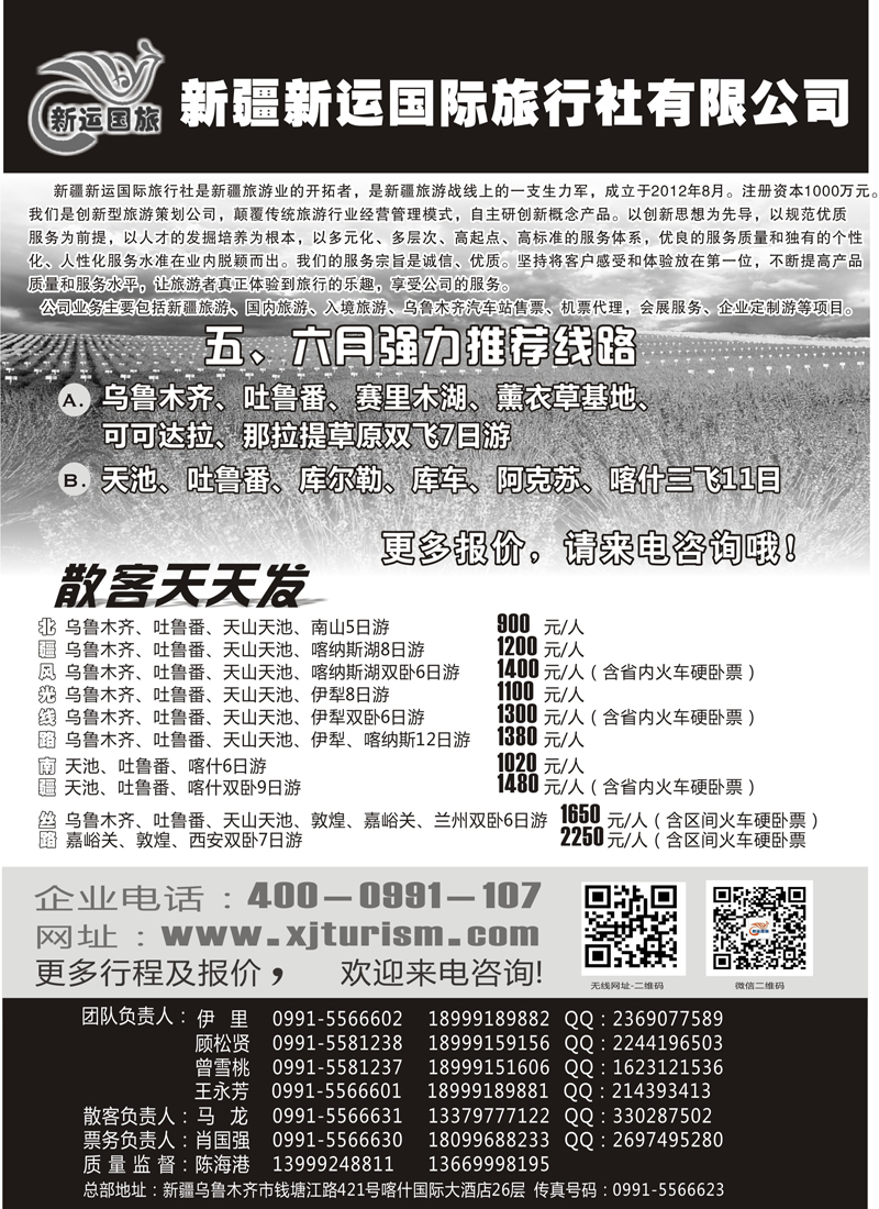 蓝黑18新疆新运国际旅行社有限公司(其它版)