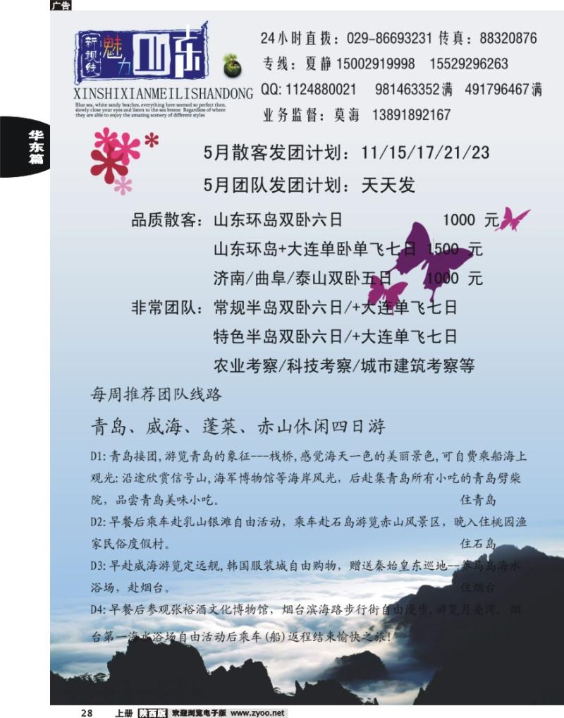 新视线
