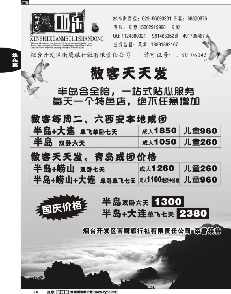 新视线