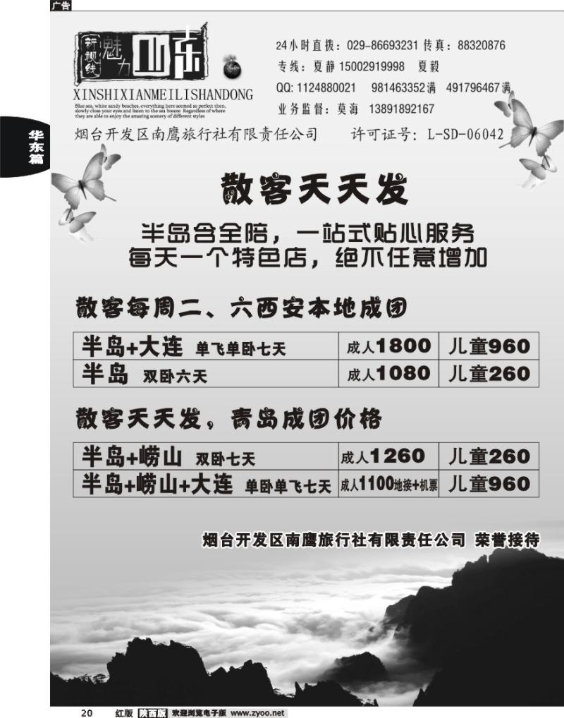 新视线