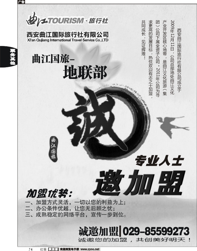曲江国旅招聘