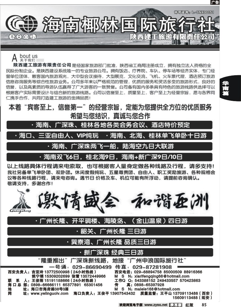 海南椰林