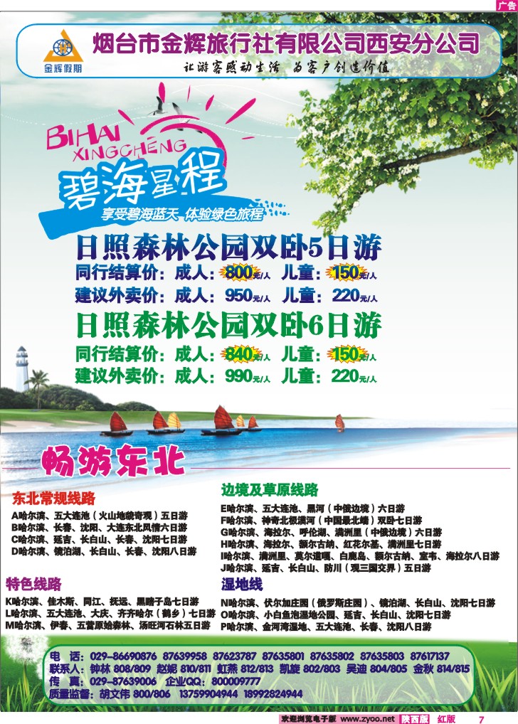 烟台金辉-