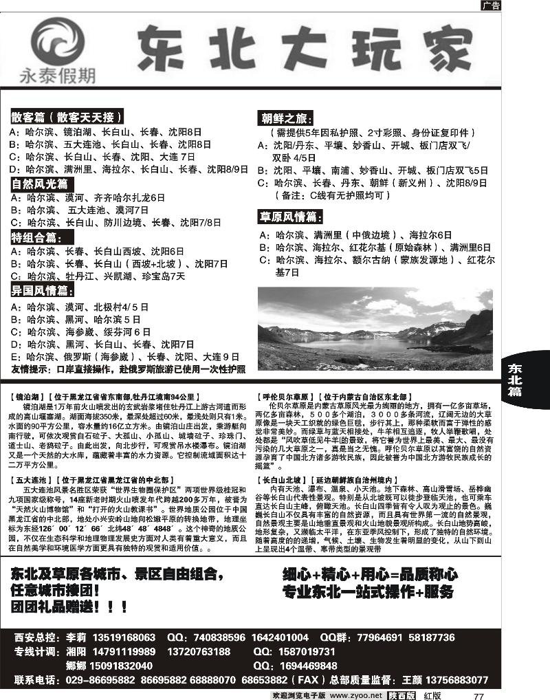 东北大玩家