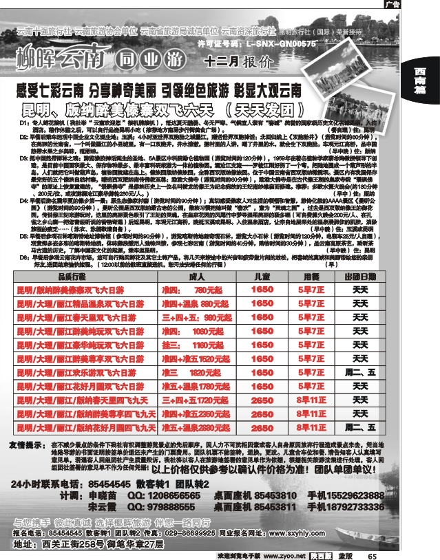 云南椰晖