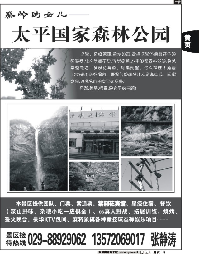 黄9 太平国际森林公园