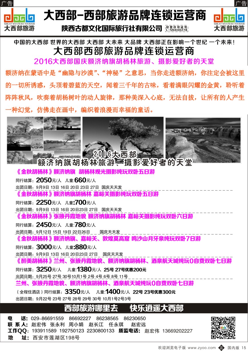 b黑015  大西部-胡杨林