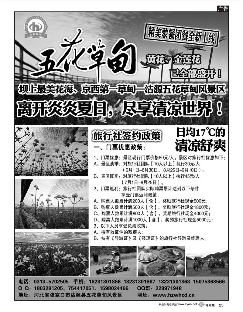 b23 五花草甸（河南）