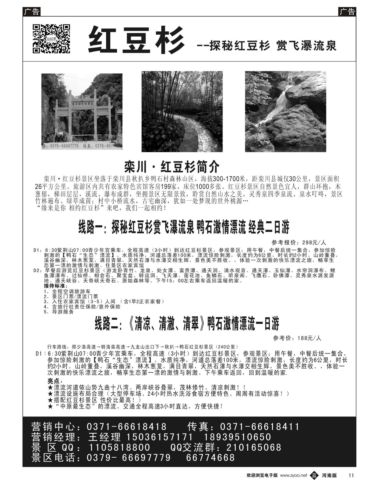 b011 红豆杉