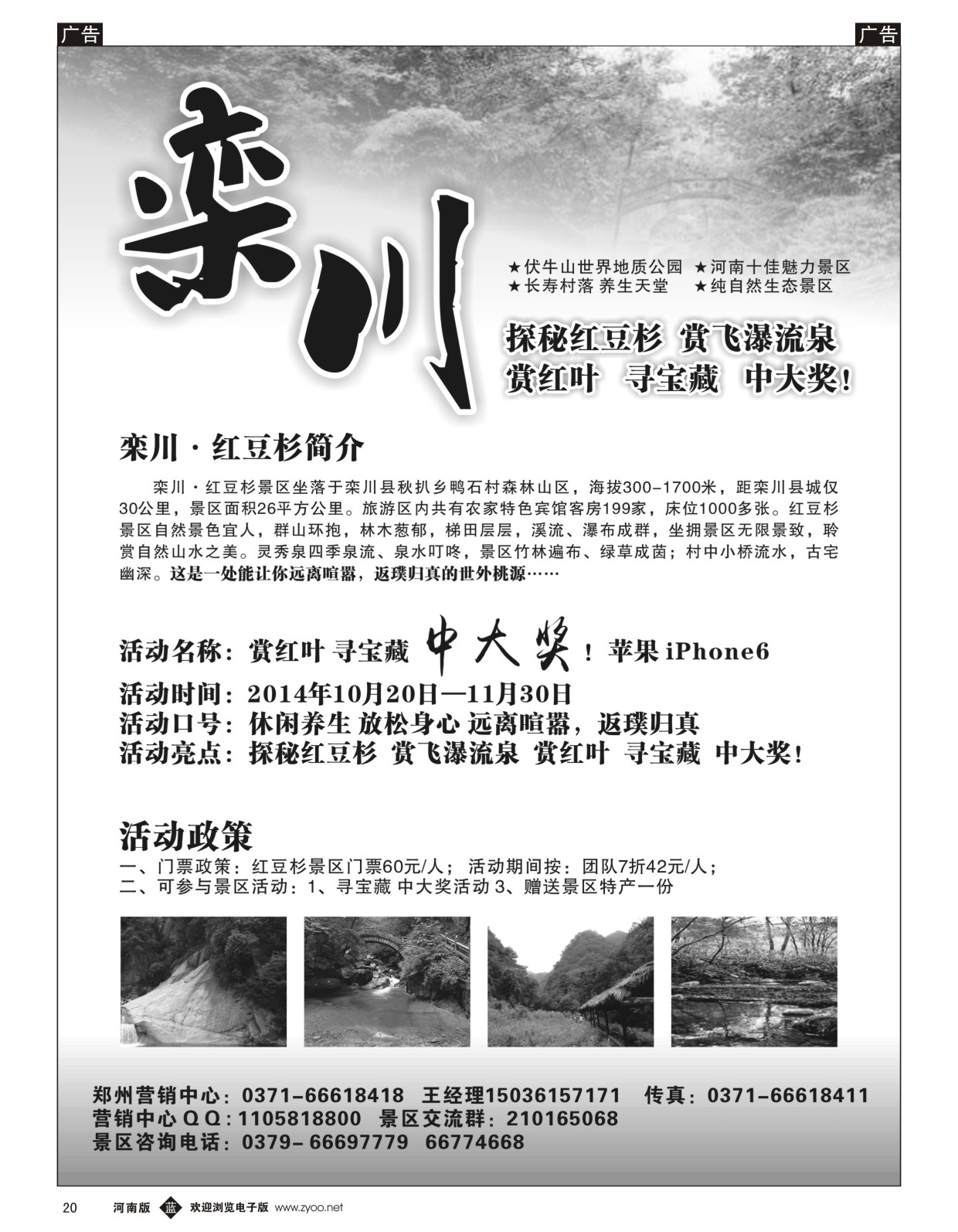 b020 畅行天下 栾川 红豆杉景区1