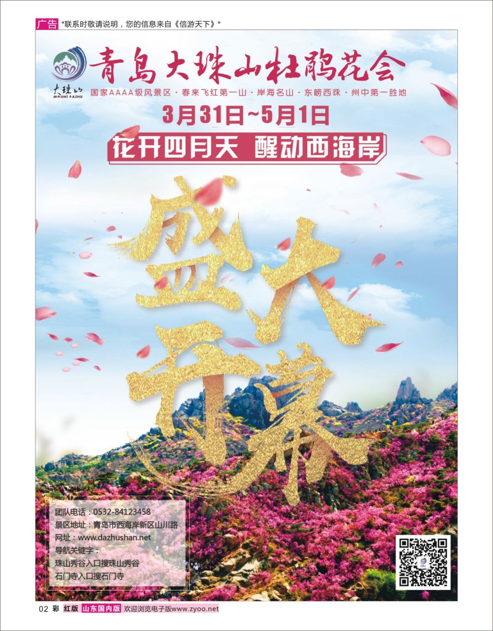 彩2 青岛大珠山杜鹃花会 盛大开幕  彩