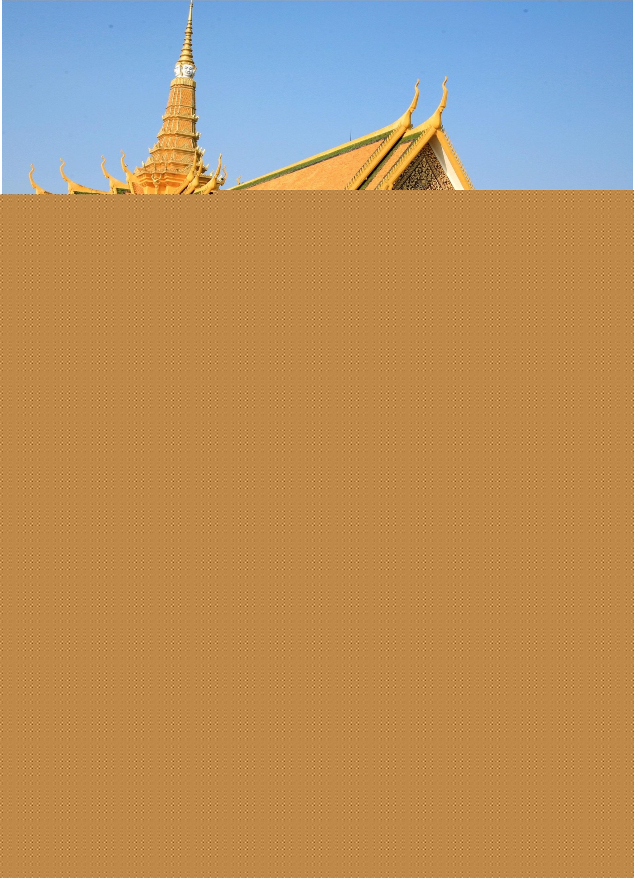 P24 新世界国旅
