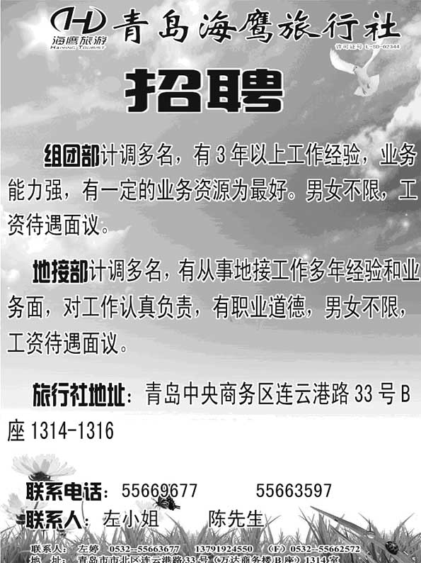 AP8青岛海鹰旅行社