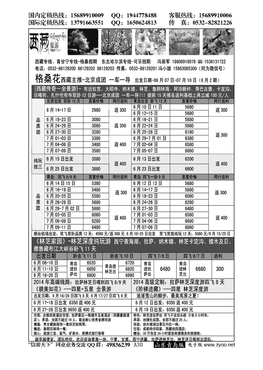 A黑030格桑假期