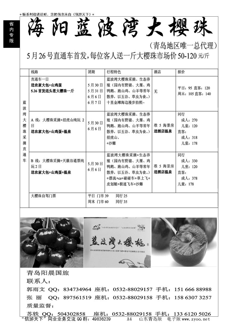 A黑004 青岛阳晨国旅