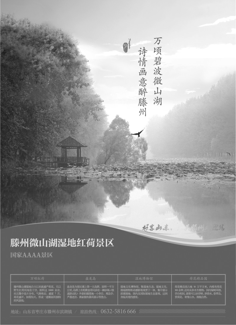 n79 山东省滕州市微山湖湿地红荷风景区