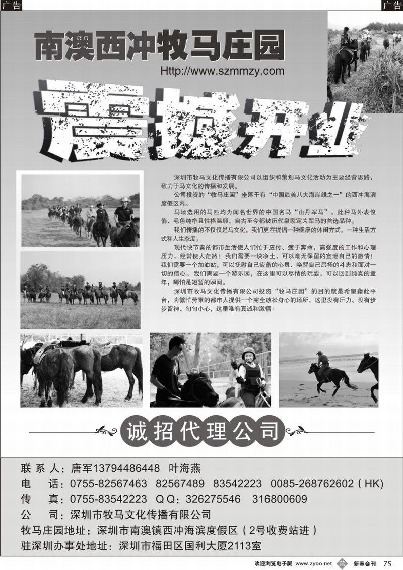 b075 深圳南澳牧马庄园 