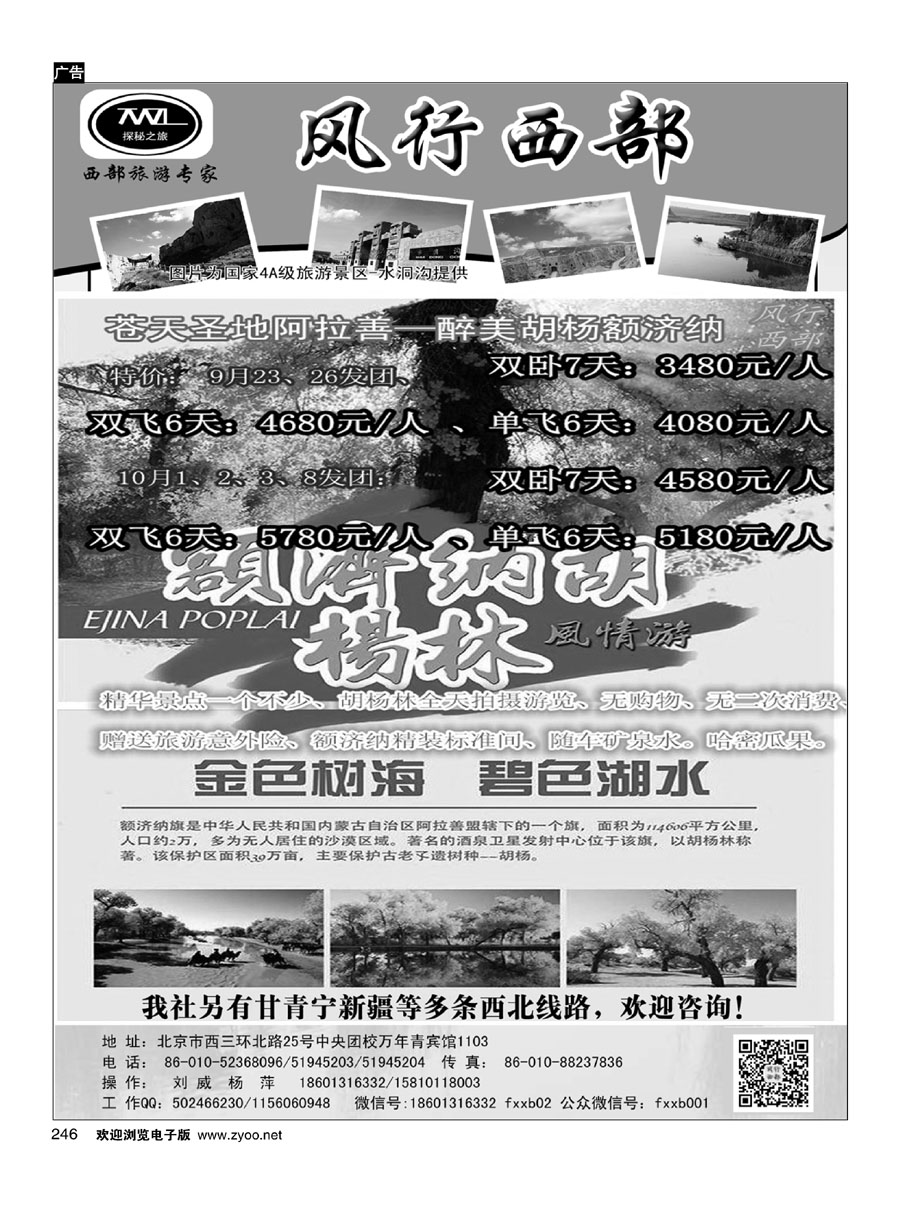246风行西部