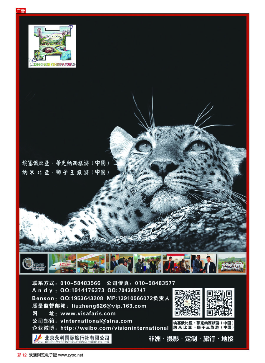 彩12非洲地接-狮子王旅游（境界国际）