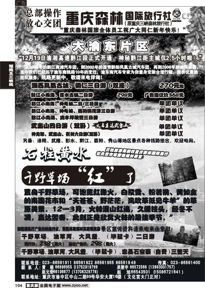 104  260期  重庆森林国际旅3