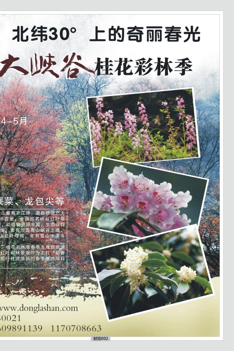 封拉002  东拉山