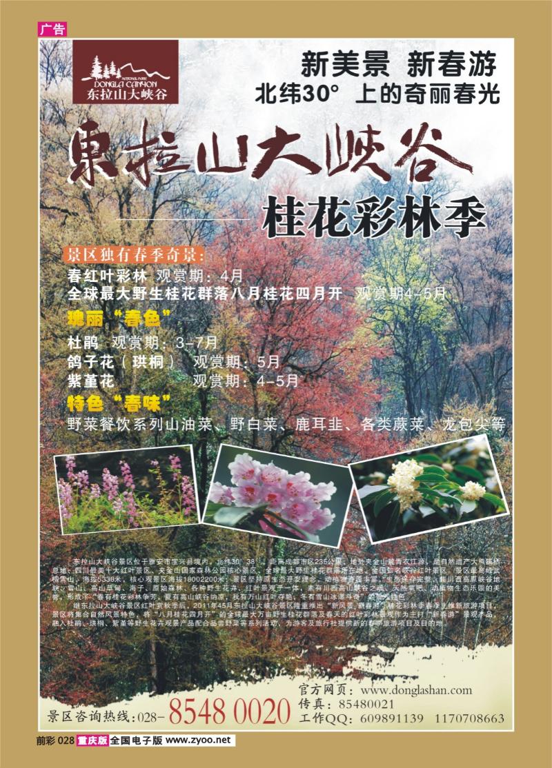 028  319 东拉山-