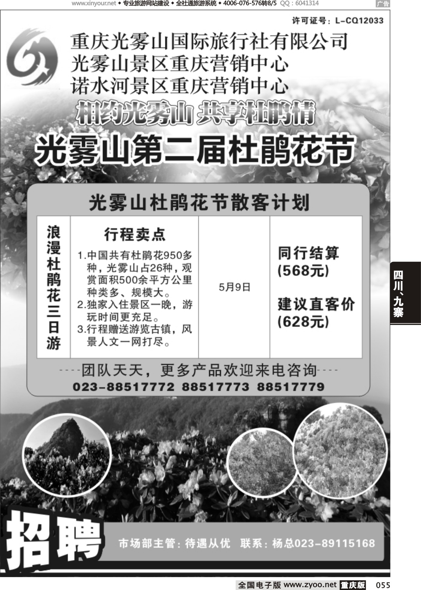 055 472 光雾山国旅-杜鹃花 