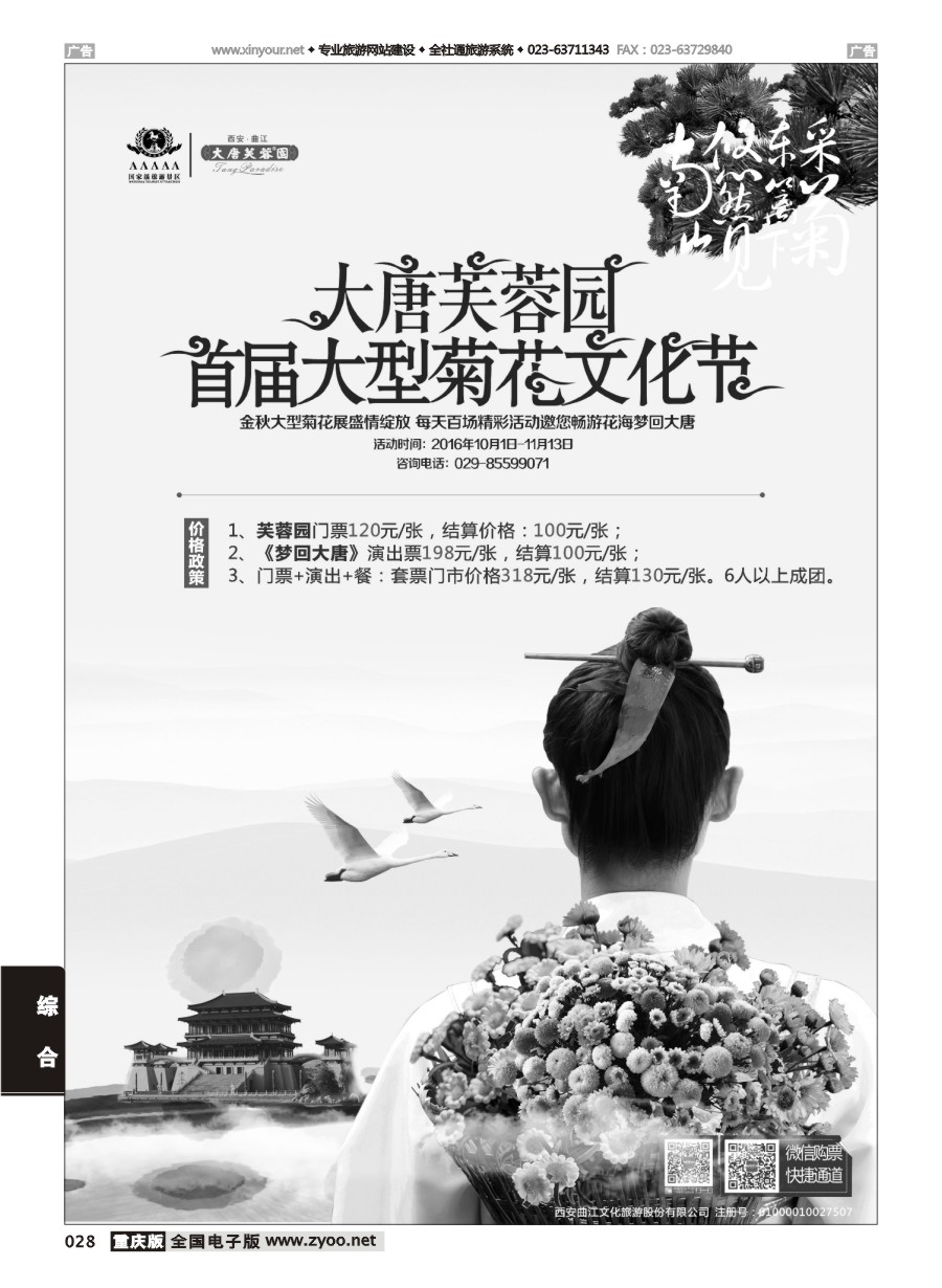 黑白028 593 曲江文旅 