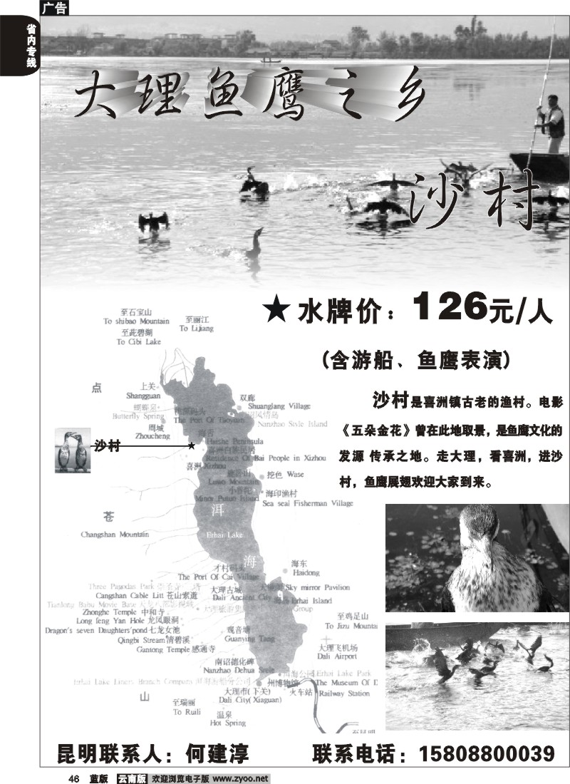 省内046  大理鱼鹰之乡 沙村