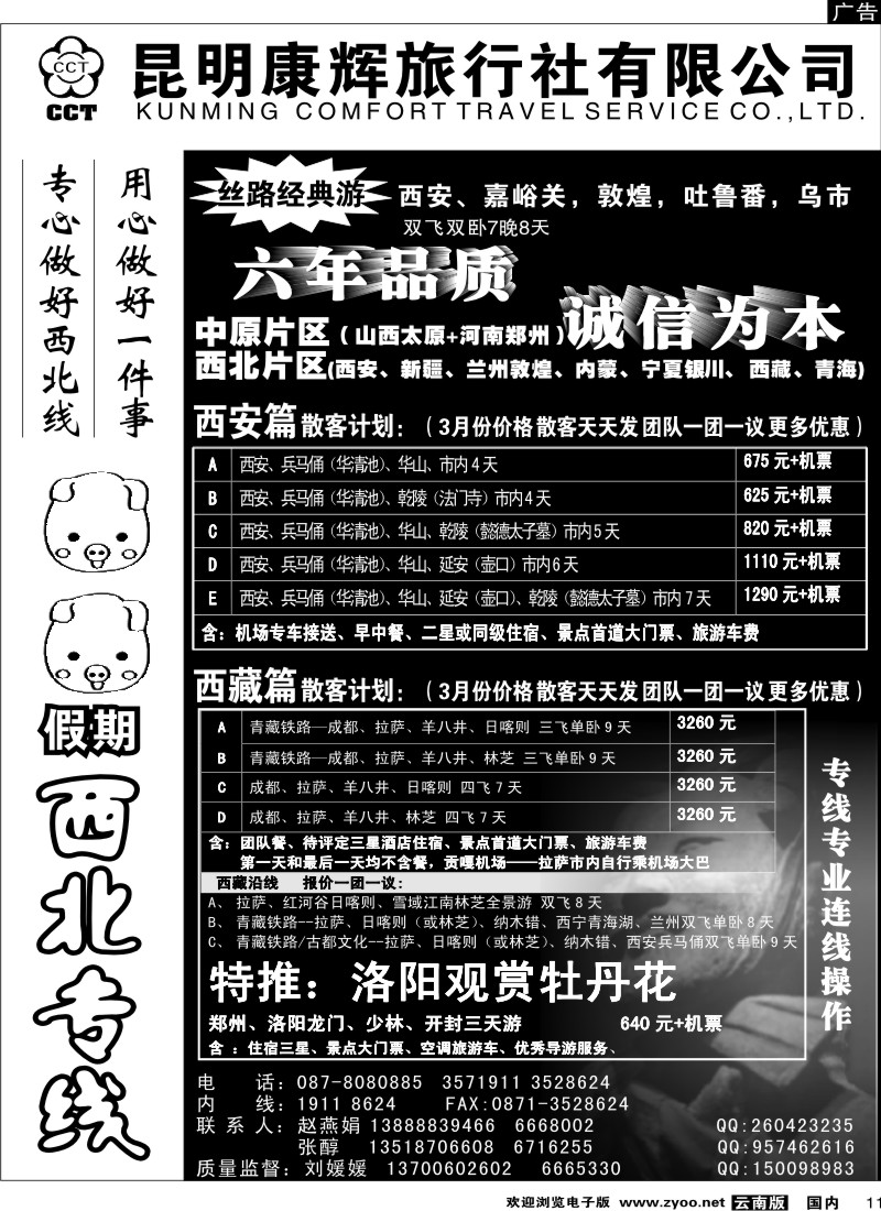 国内11 昆明康辉（烟草606）猪猪假期