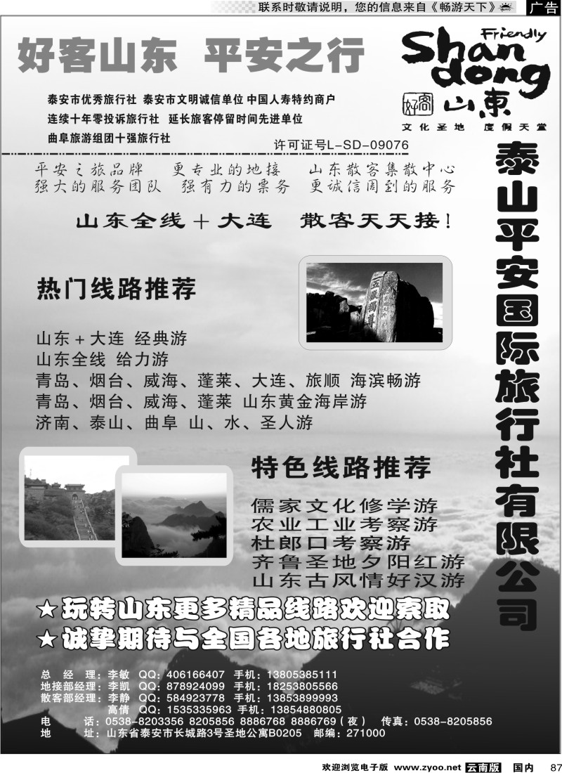 国内087 泰山平安国际旅行社有限公司