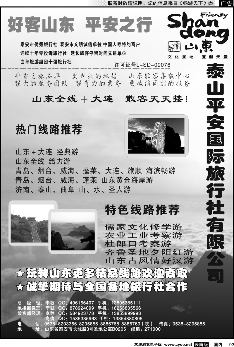 国内093 泰山平安国际旅行社有限公司