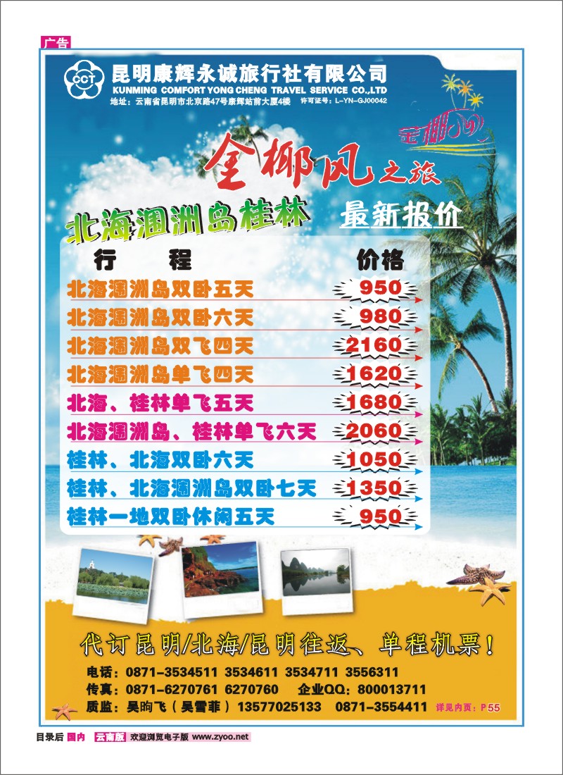 目录后 昆明康辉（铁招411）金椰风