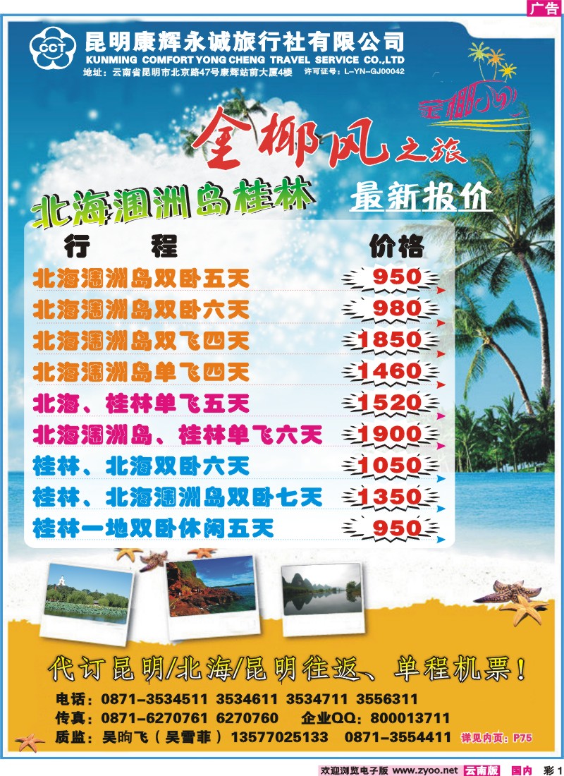 红彩001 金椰风