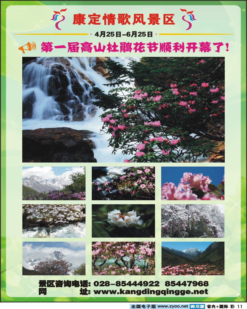 0b彩11 康定情歌风景区杜鹃节