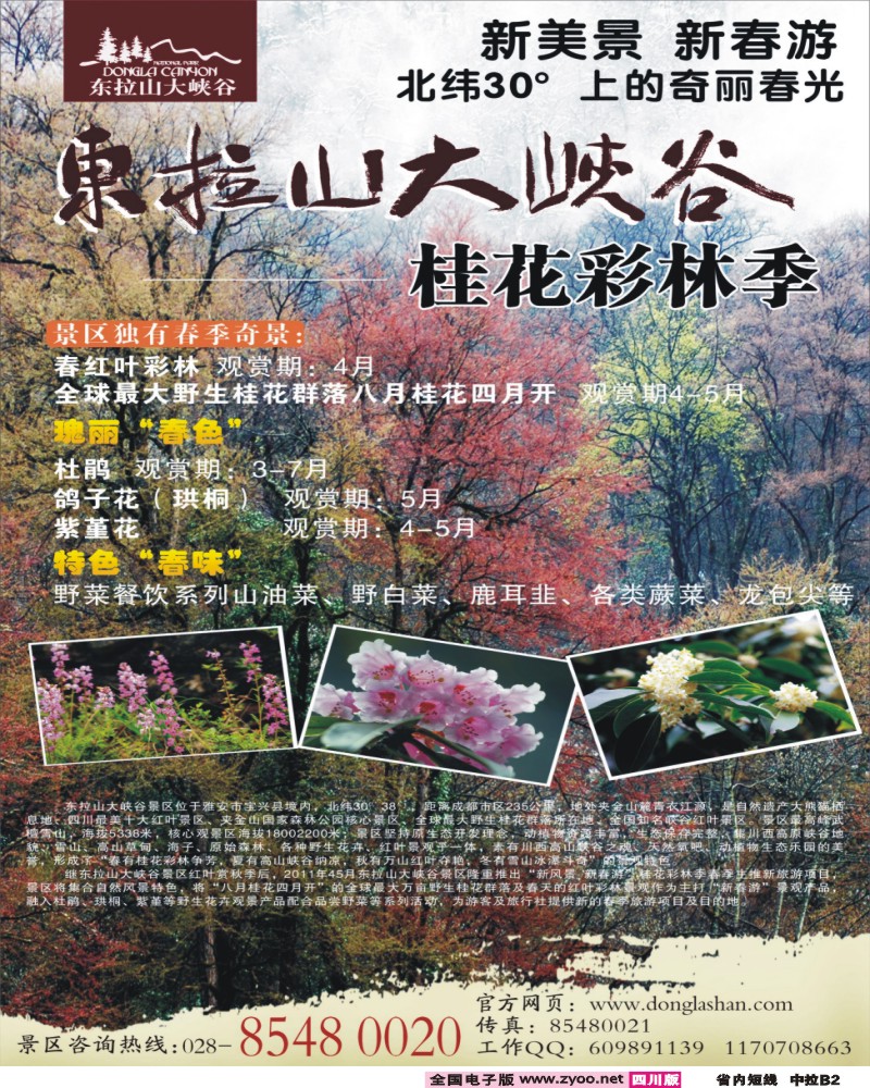 b中拉B2   东拉山