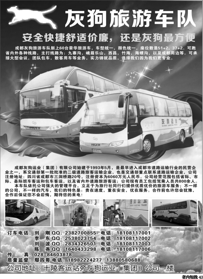 b43  灰狗旅游车队350