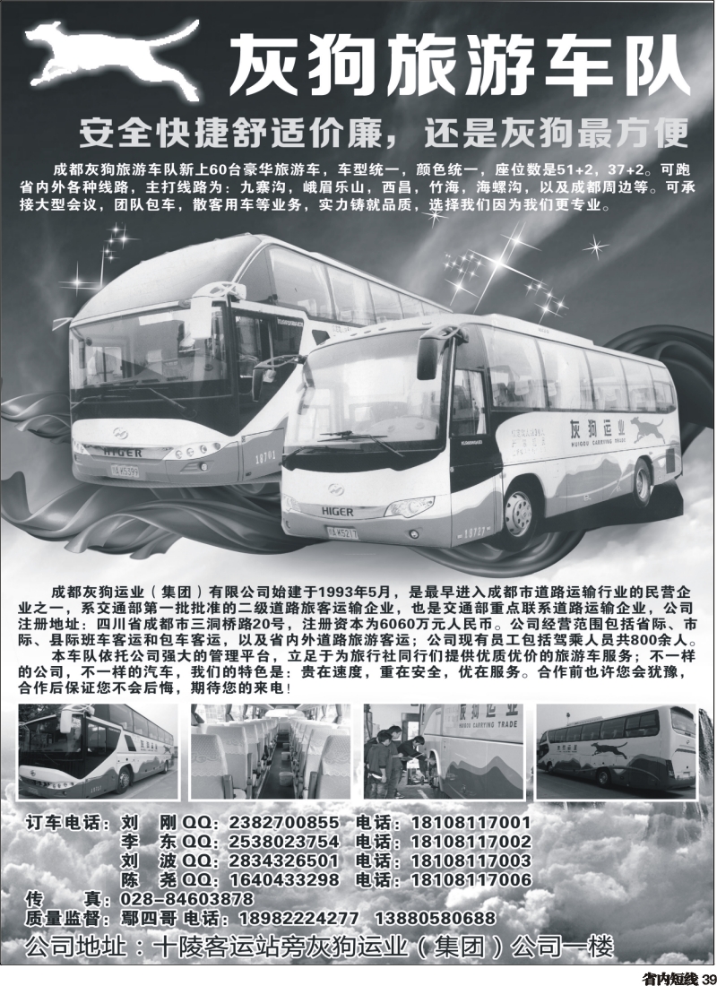 b39  灰狗旅游车队350