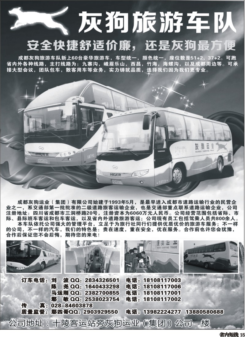 b15  灰狗旅游车队