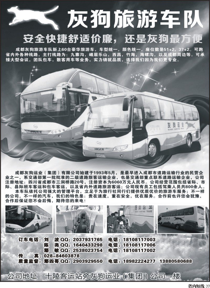 b37  灰狗旅游车队