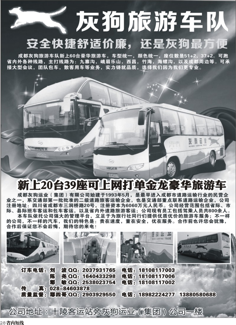 b28  灰狗旅游车队｛03175｝