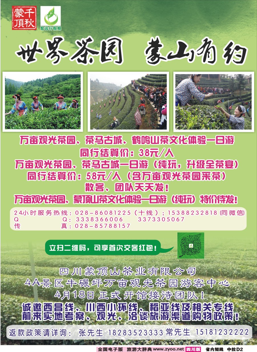 b中拉D2智远行假期-万亩观光茶园、茶马古城文化体验、鹤鸣山一日游