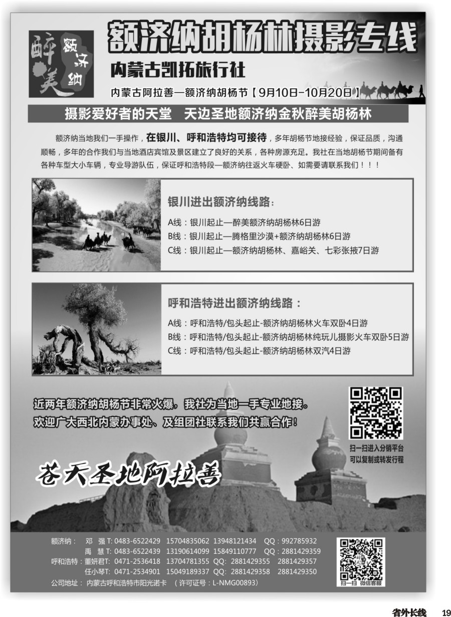 r019  额济纳胡杨林专线